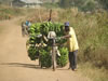 Uganda Fort Portal & Kibale: Image