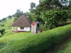 Uganda Fort Portal & Kibale: Image