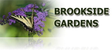 Brookside Gardens