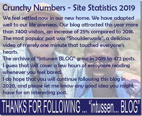 Site Statistics 2019