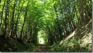 Licht aan het einde van de tunnel