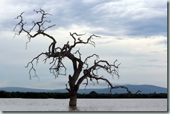 Channel to Rufiji River