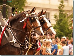 4th of July parade - 2011