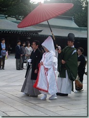 Meiji Shrine - Traditional Wedding