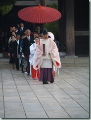Meiji Shrine - Traditional Wedding