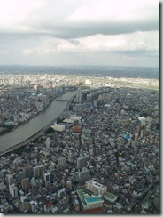 Skytree View