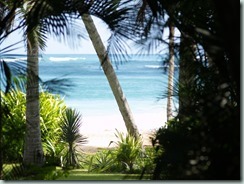 Las Galeras: Playa Cala Blanca, a shallow, protected beach with a sandy bottom that is great for children. 