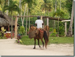 Local transport