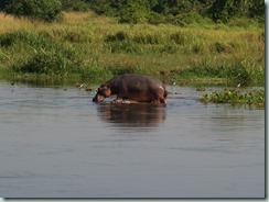 Impressions of Uganda by Suzanne Verdwaald and Birgit Breitschuh