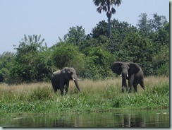 Impressions of Uganda by Suzanne Verdwaald and Birgit Breitschuh