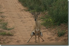 Impressions of Uganda by Suzanne Verdwaald and Birgit Breitschuh