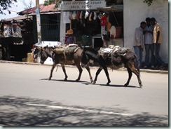 Bahir Dar & Gondor