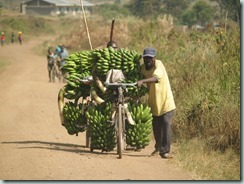 Uganda Fort Portal & Kibale