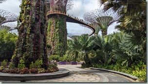 Gardens by the Bay - OCBC Skyway