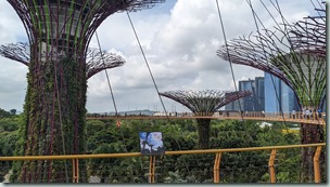 Gardens by the Bay - OCBC Skyway