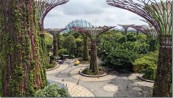 Gardens by the Bay - Supertree Grove