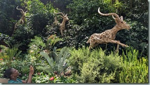 Gardens by the Bay - Flower Dome